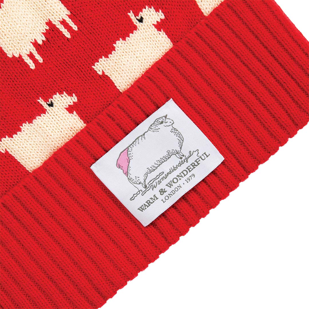 Sheep Cashmere Beanie Diana Red