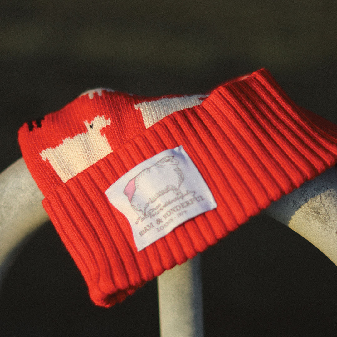 Sheep Cashmere Beanie Diana Red