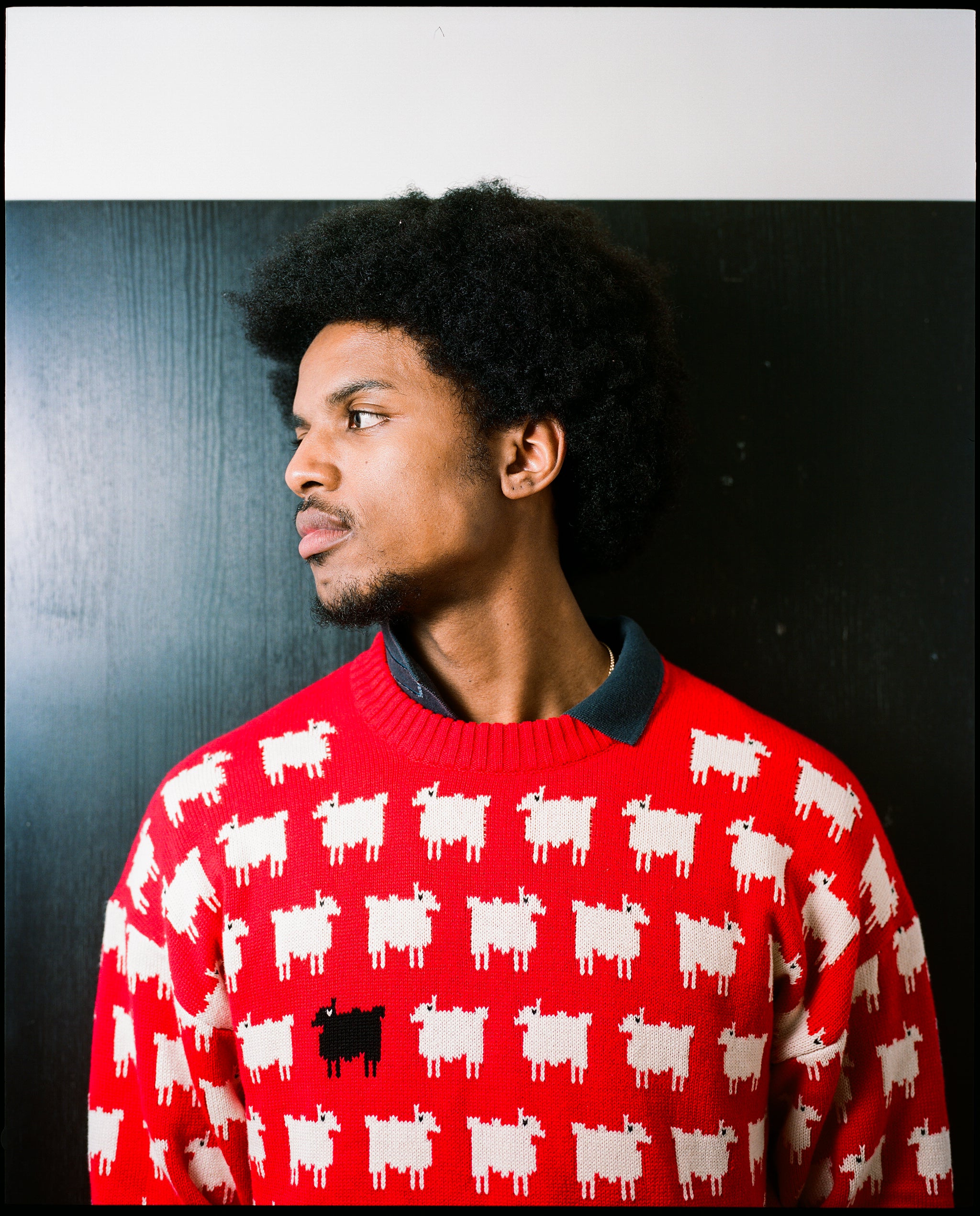 Diana Black Sheep Sweater Rowing Blazers Sweaters Warm Wonderful